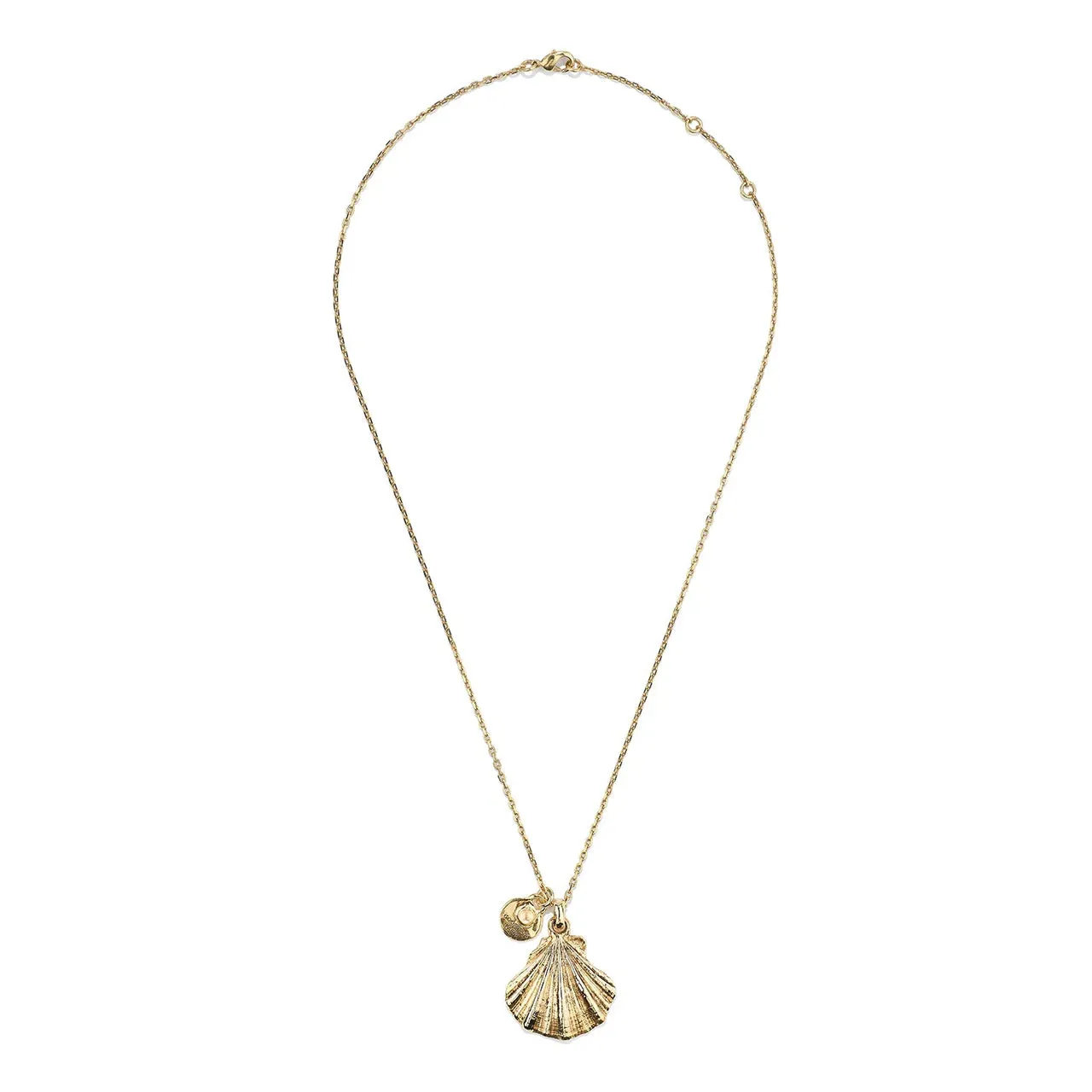 Circe Shell Charm Necklace